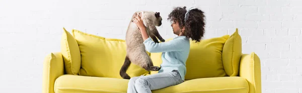 Vista lateral de la chica americana africana rizada sosteniendo y mirando al gato siamés, mientras está sentado en el sofá en casa, pancarta - foto de stock