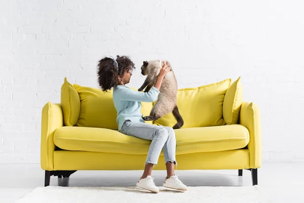 Side view of african american girl holding and looking at siamese cat, while sitting on sofa at home — Foto stock