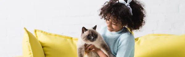 Smiling curly girl with headband holding and looking at siamese cat at home, banner — Stock Photo