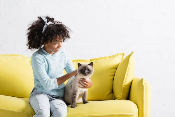 Chica afro-americana positiva con diadema acariciando mirando al gato siamés, mientras está sentada en el sofá en casa - foto de stock