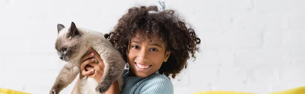 Cheerful african american girl holding siamese cat, while looking at camera at home, banner — Stock Photo