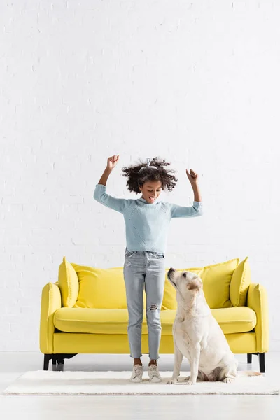 Усміхнена афро-американська дівчина з руками в повітрі стоїть на білому килимку біля лабрадора вдома. — стокове фото