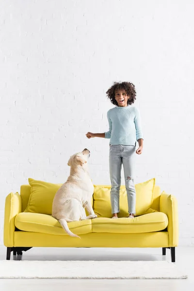 Excited african american girl standing on sofa near retriever, while looking at camera at home — Foto stock