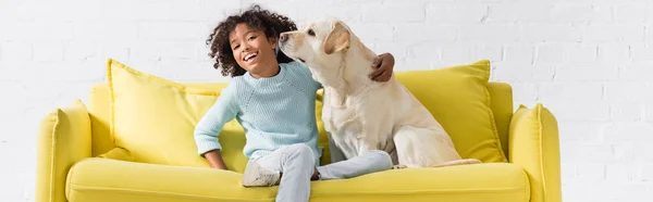 Chica americana africana rizada riendo y abrazando labrador, mientras está sentado en el sofá en casa, pancarta — Stock Photo