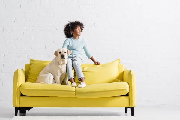 Smiling african american girl looking away, while sitting on back of sofa near labrador at home — Fotografia de Stock