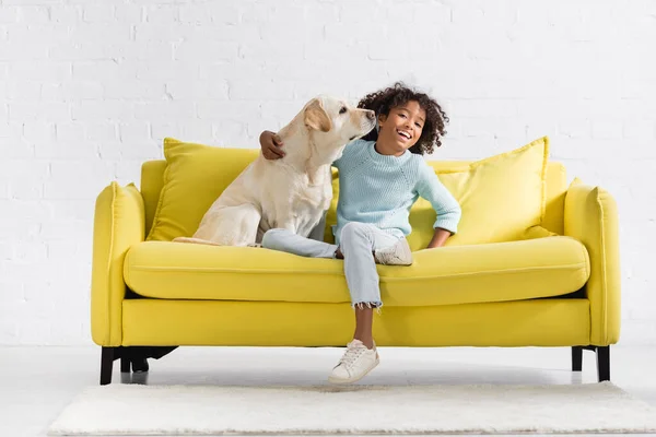 Joyeuse fille afro-américaine embrassant retriever assis sur le canapé, tout en regardant la caméra à la maison — Photo de stock