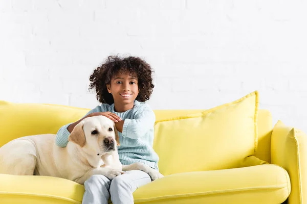 Alegre chica afroamericana mirando a la cámara, mientras se apoya en retriever mirando hacia otro lado en el sofá amarillo en casa - foto de stock