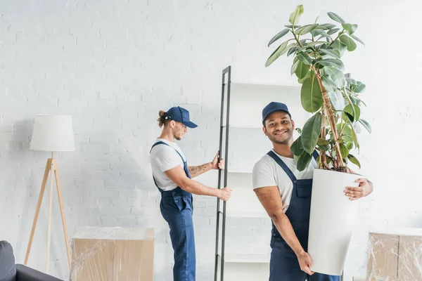 Alegre indio mover celebración verde planta cerca de compañero de trabajo llevando rack sobre fondo borroso - foto de stock