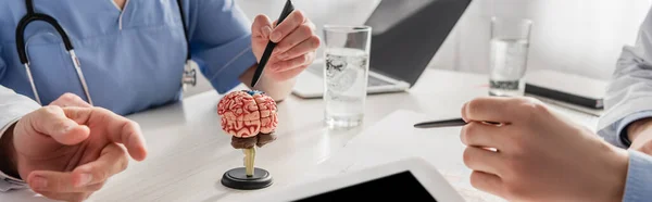 Обрезанный вид медсестры, указывающей ручкой на анатомическую модель мозга рядом с коллегами на рабочем месте с устройствами, баннером — стоковое фото