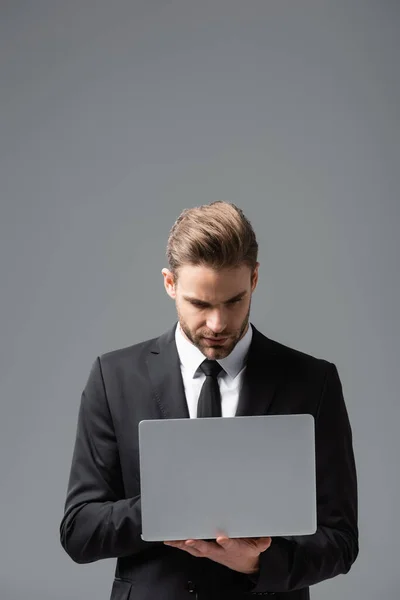 Serious businessman in black suit using laptop isolated on grey — Stock Photo