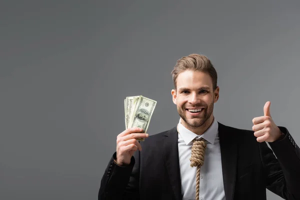 Cheerful businessman with tie made of rope holding dollars and showing like isolated on grey — Stock Photo