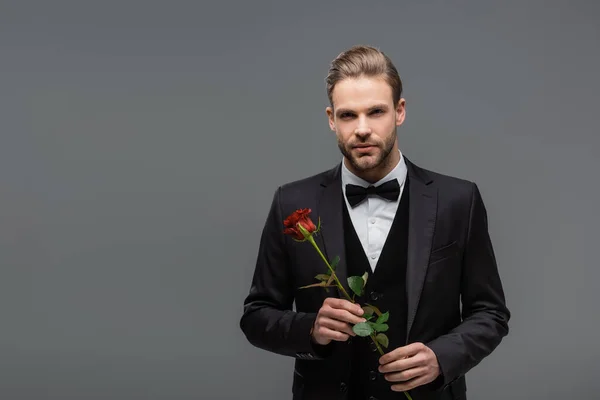 Elegant businessman in black suit looking at camera while holding red rose isolated on grey — Stock Photo