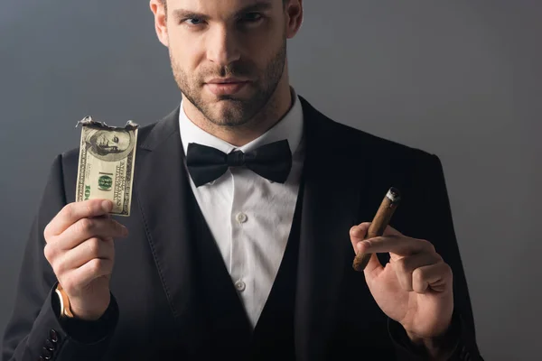 Бизнесмен смотрит в камеру, держа в руках сигару и обгоревшую долларовую купюру, изолированную на сером — стоковое фото
