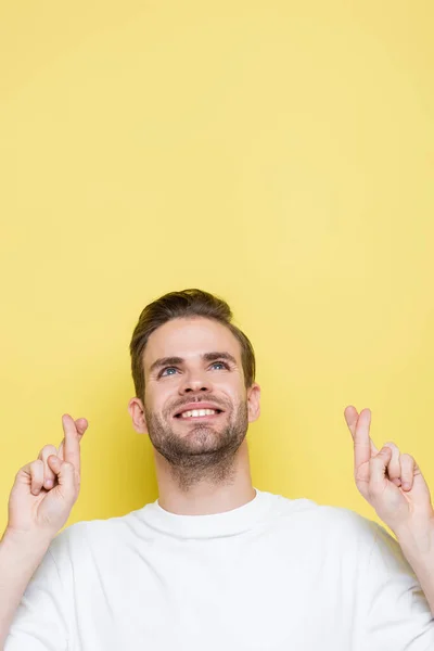 Positive man holding crossed fingers while looking up on yellow — Stock Photo