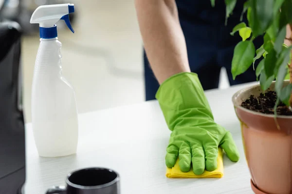 Cropped view of cleaner in rubber glove cleaning table near plant and detergent in office — Stock Photo