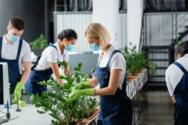 Interracial cleaners in uniform and medical masks working in office during quarantine — Stock Photo