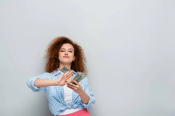 Mujer alegre contando dólares mientras mira a la cámara sobre fondo gris - foto de stock