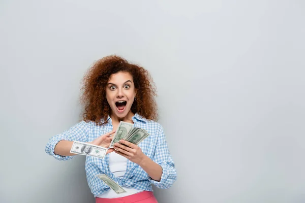 Изумленная женщина кричит во время подсчета банкнот на сером фоне — стоковое фото