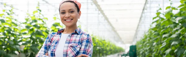 Agricultor afroamericano feliz sonriendo a la cámara en invernadero, pancarta - foto de stock