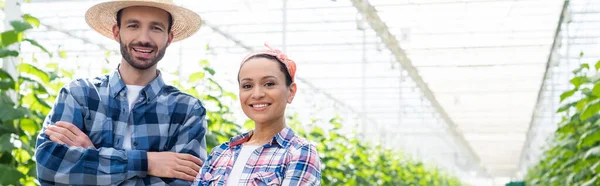 Agricultores interracial feliz en camisa a cuadros sonriendo a la cámara en el invernadero, pancarta — Stock Photo