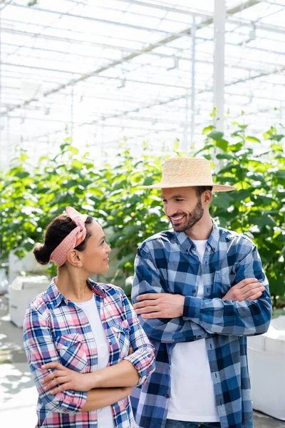 Cheerful interracial farmers smiling at each other while standing with crossed arms in glasshouse — Stock Photo