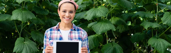 Agricultor americano africano alegre en camisa a cuadros que sostiene la tableta digital con la pantalla en blanco, bandera - foto de stock
