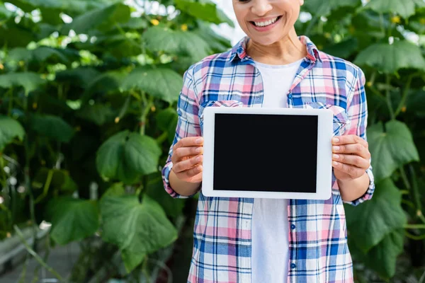 Vista ritagliata di agricoltore afroamericano con tablet digitale con schermo bianco in serra — Foto stock