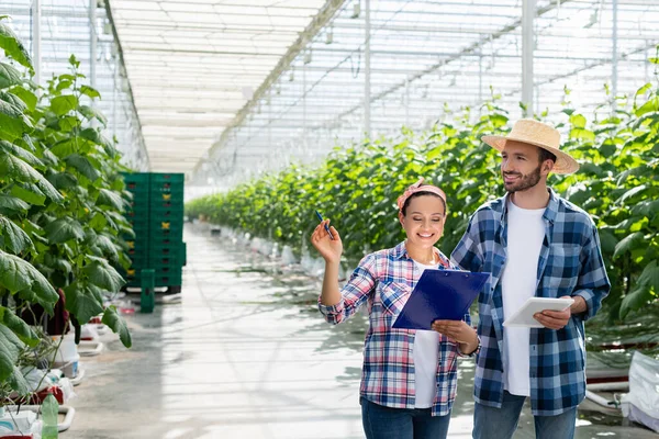 Sonriente afroamericano agricultor apuntando con la mano cerca feliz colega sosteniendo tableta digital - foto de stock