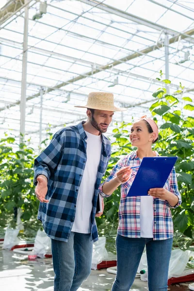 African american farmer pointing with pen at clipboard near colleague in glasshouse — Stock Photo