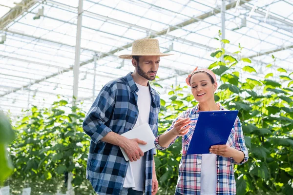 Contadino afroamericano sorridente che punta agli appunti vicino al collega con tablet digitale — Foto stock