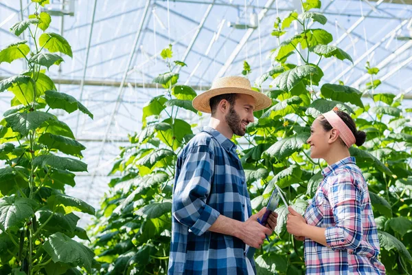 Agricultores interracial feliz con tableta digital y portapapeles hablando en invernadero - foto de stock