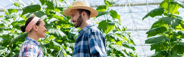 Vista lateral de los agricultores interracial sonrientes hablando en invernadero, pancarta - foto de stock