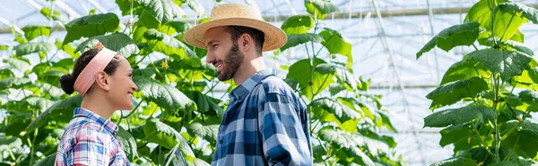 Vista laterale di agricoltori interrazziale sorridenti che parlano in serra, striscione — Foto stock