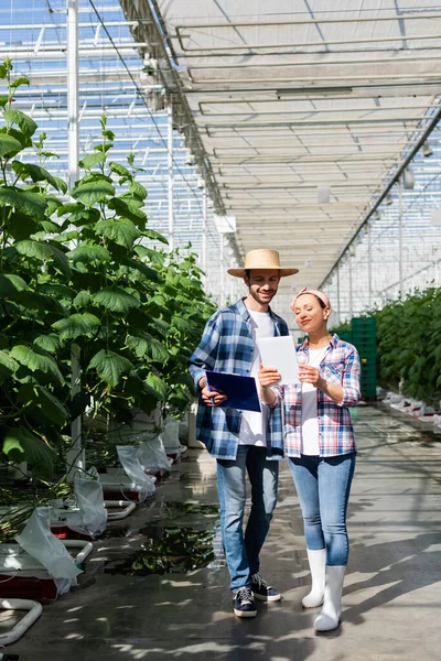 Vista integrale degli agricoltori interrazziali con appunti e tablet digitale vicino alle piante in serra — Foto stock