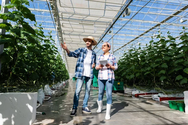 Vista completa del agricultor apuntando con la mano a las plantas cerca de colega afroamericano con tableta digital - foto de stock