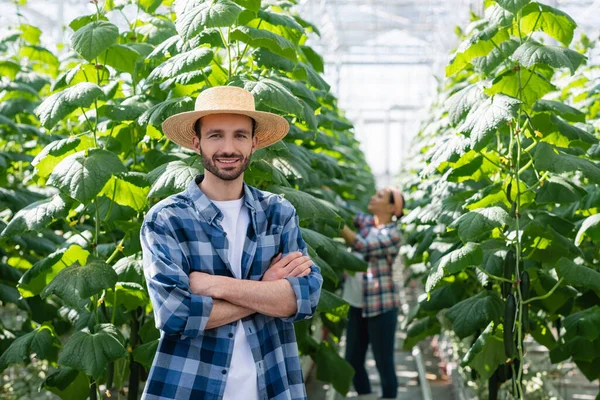 Felice contadino in piedi con le braccia incrociate vicino collega afro-americano che lavora su sfondo sfocato — Foto stock