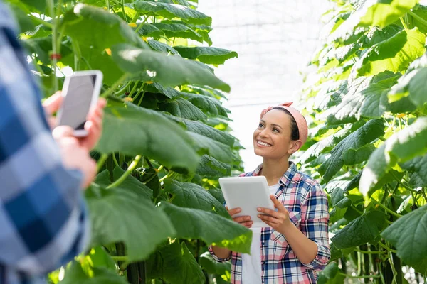 African american farmer smiling near plants and colleague on blurred foreground — Stock Photo