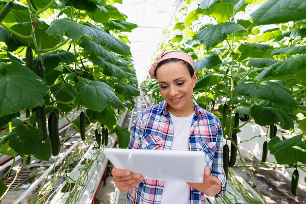 Fröhlicher afrikanisch-amerikanischer Bauer hält digitales Tablet in der Nähe von Pflanzen mit Gurken — Stockfoto