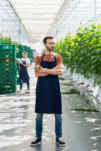 Farmer in apron standing with crossed arms near african american colleague with digital tablet on blurred background — Stock Photo