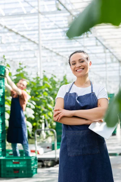 African american farmer smiling at camera near colleague working on blurred background — Stock Photo