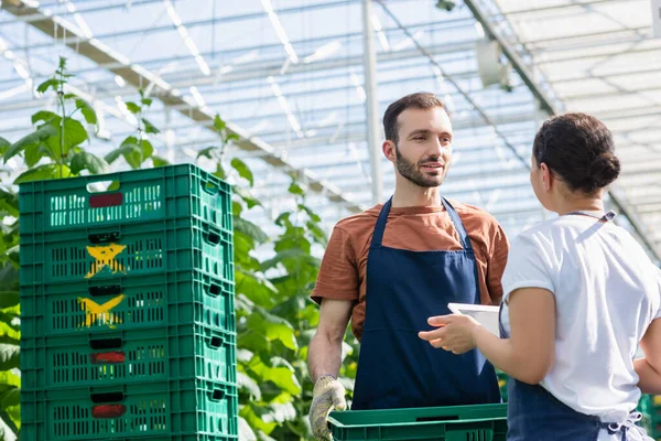 African american woman talking to farmer holding plastic box in greenhouse — Stock Photo