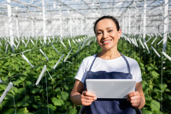 Agricultor afroamericano con tableta digital sonriendo a cámara en invernadero — Stock Photo