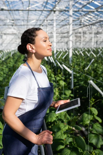 Afrikanischer amerikanischer Bauer mit digitalem Tablet schaut im Gewächshaus weg — Stockfoto