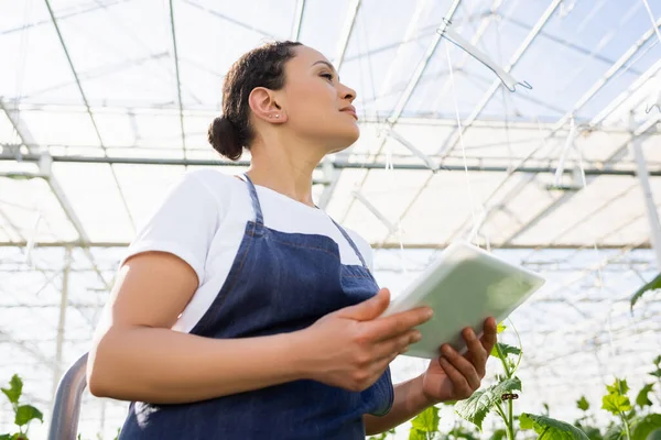 Low angle view of african american farmer looking away while holding digital tablet in greenhouse — Stock Photo