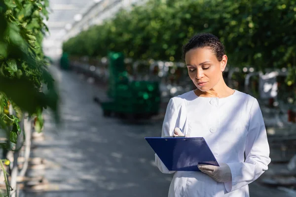 Afrikanisch-amerikanischer Agrartechnologe schreibt auf Klemmbrett im Gewächshaus — Stockfoto