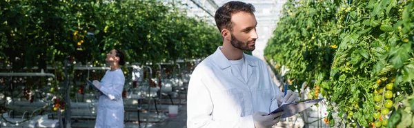 Tecnólogo agrícola escrevendo na área de transferência perto de colega afro-americano em fundo turvo, banner — Fotografia de Stock