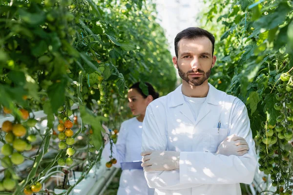 Ispettore di qualità in camice bianco guardando la fotocamera mentre collega afro-americano che lavora su sfondo sfocato — Foto stock