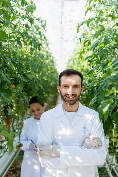 Sonriente tecnólogo agrícola mirando a la cámara cerca de un colega afroamericano trabajando sobre un fondo borroso - foto de stock