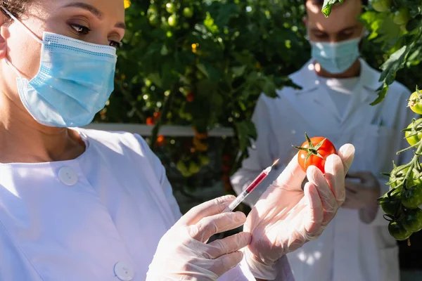 Tecnólogo agrícola afroamericano en mascarilla médica prueba calidad de tomate con jeringa - foto de stock