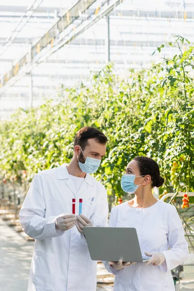 Quality inspectors in medical masks holding test tubes and laptop in greenhouse — Stock Photo